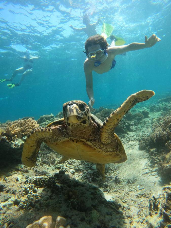 Gili Meno Mojo Beach Resort Esterno foto